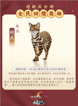 苍月天龙八部私服